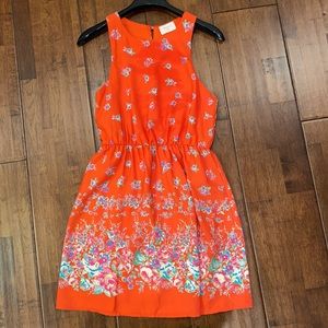 Everly dress